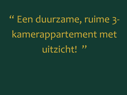 Thetfordstraat 172
