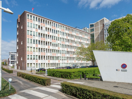 Tivolilaan 173