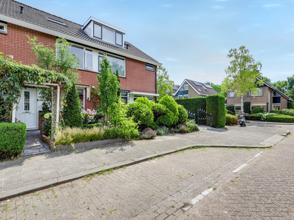 Pelikaan 46