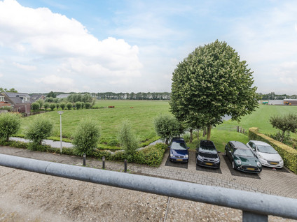 Meester van Loostraat 1A