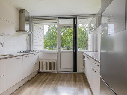 Ruygeplaat 153