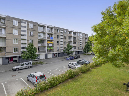 Ruygeplaat 153