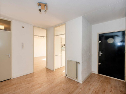 Olstgracht 43