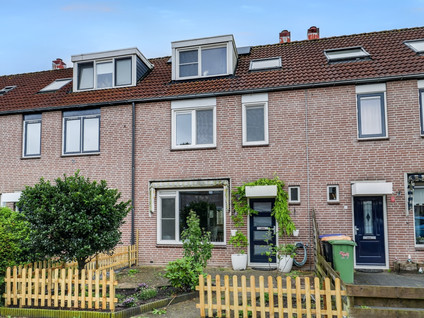 Zandplaat 5