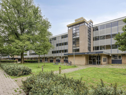 Broekheurne-ring 589