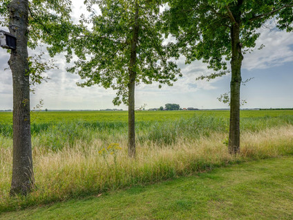 Zandkreek 12