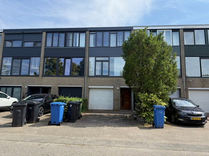 Pijpbloem 7