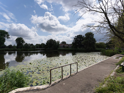Wouwerlaan 26