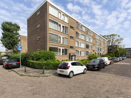 Schalkeroord 50