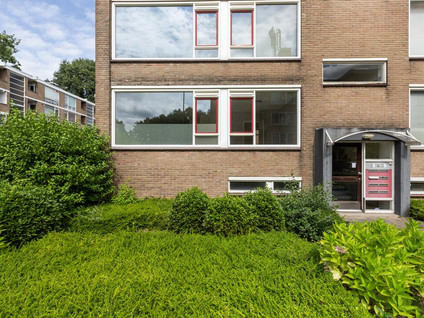 Schalkeroord 50