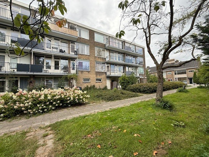 Aernt Bruunstraat 12