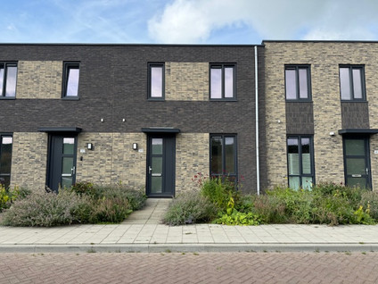 Ottertjes 39
