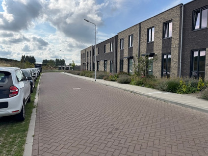 Ottertjes 39