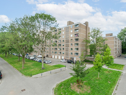 Adriaan Dortsmanstraat 3