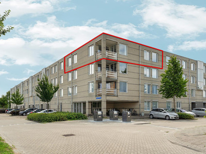 S. van Ravesteynstraat 146