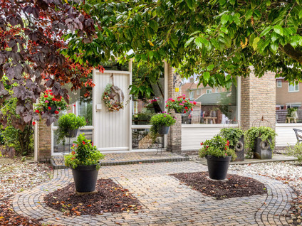 Elzenstraat 5