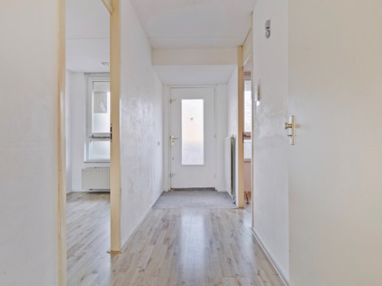 Van Ollefenstraat 104