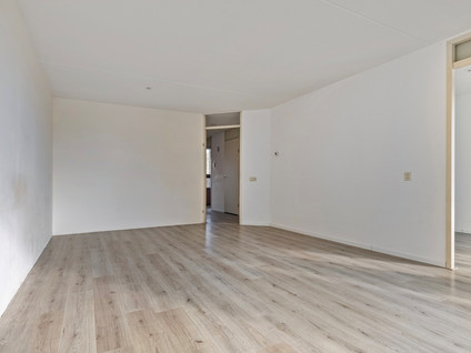 Van Ollefenstraat 104