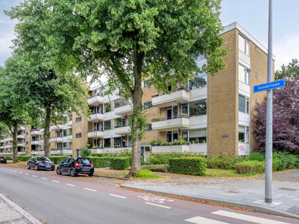 Vondellaan 310