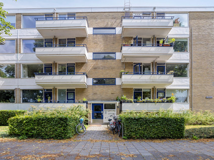 Vondellaan 310