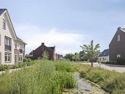 Florus Hoeve 4