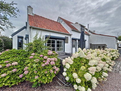 Hogeweg 11