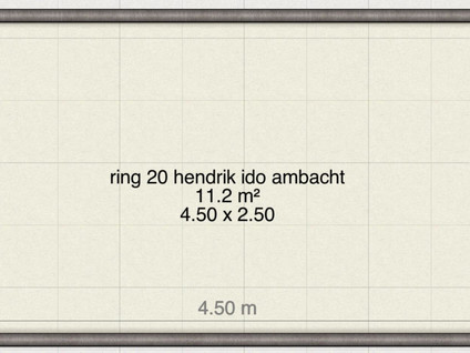 Ring 229 20