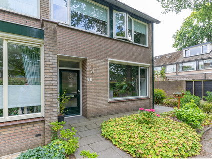 Meerkoetstraat 56