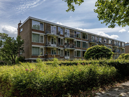 Schoonegge 61