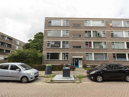 Ruigoord 41