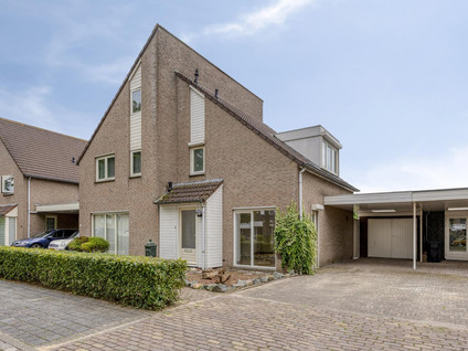 Den Hul 6