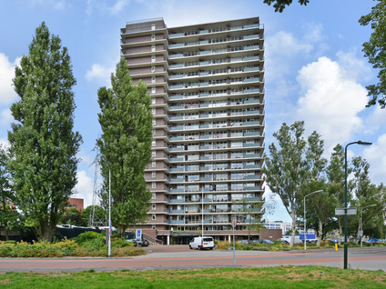 Populierendreef 217