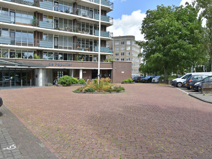 Populierendreef 217