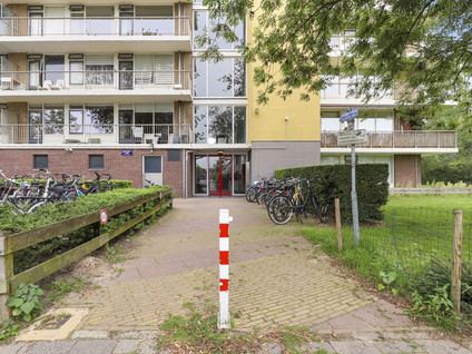 Wijenburglaan 107
