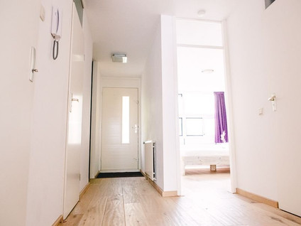 Arthur van Schendelstraat 537