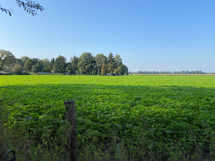 Stevensbeekseweg 