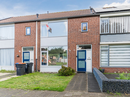 Bellinistraat 197