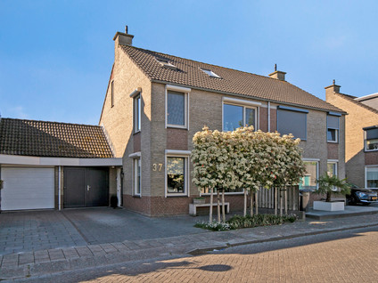 Zwartewaal 37