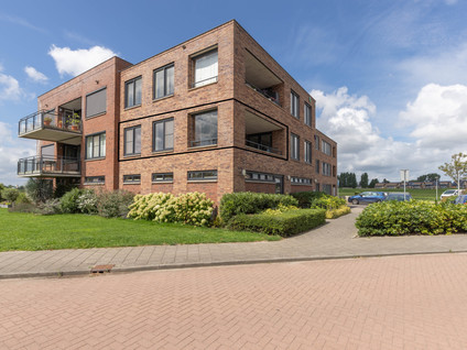 Leeuwerik 9