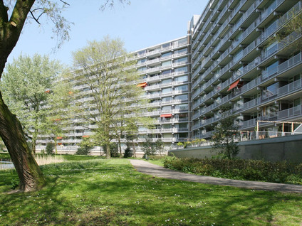 Griegplein 244
