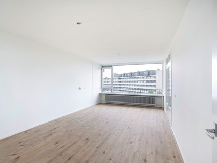 Griegplein 244