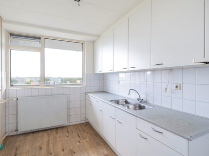 Griegplein 244