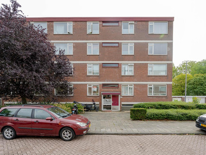 Ruigoord 66