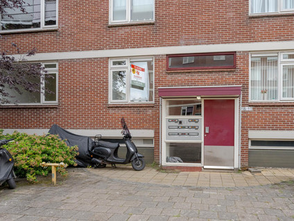 Ruigoord 66