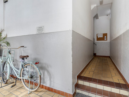 Singel 31