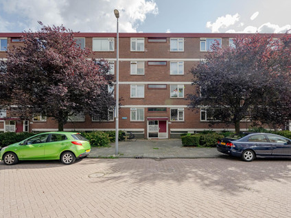 Ruigoord 60