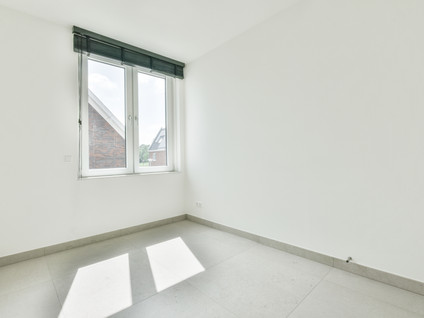 Knobbelzwaan 121