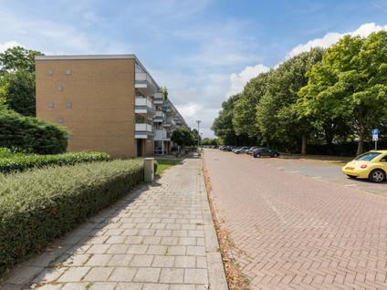 Narcissenstraat 212