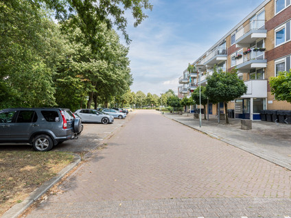 Narcissenstraat 212