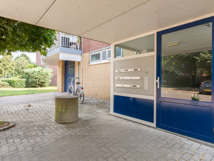 Narcissenstraat 212